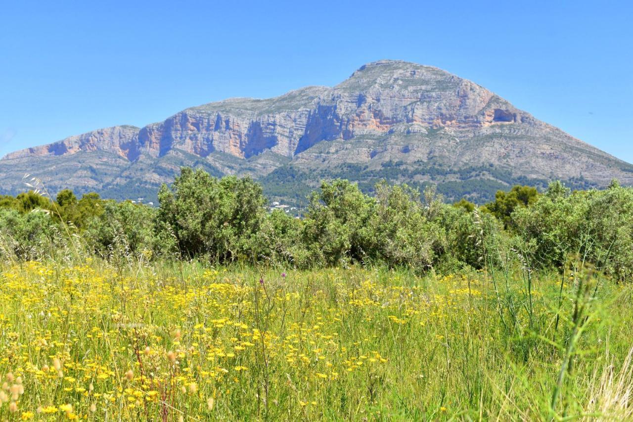 Apartamento Brisas Del Arenal Jávea Exteriör bild